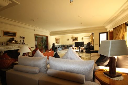 coeur-de-racine-luxueux-penthouse-avec-terrasse-266-m2_1361