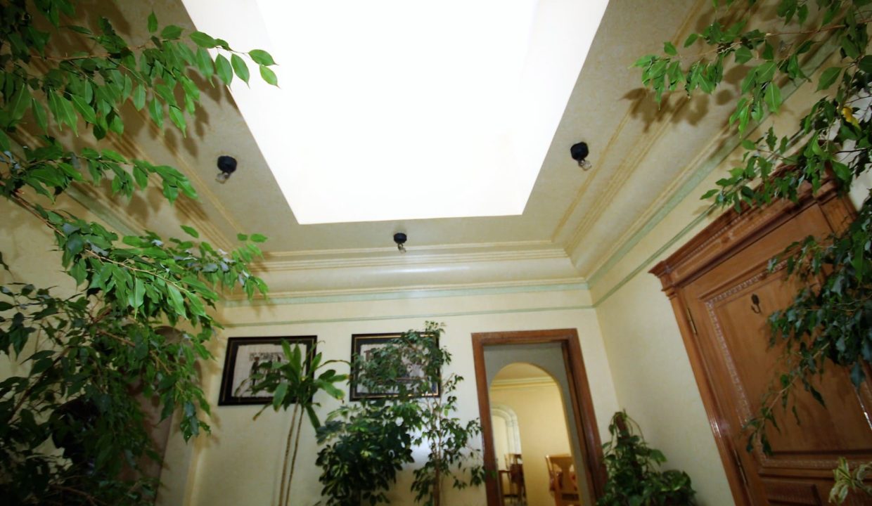 coeur-de-racine-luxueux-penthouse-avec-terrasse-266-m2_1364