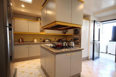 coeur-de-racine-luxueux-penthouse-avec-terrasse-266-m2_1367