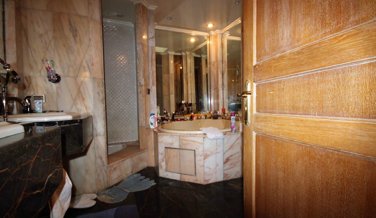 coeur-de-racine-luxueux-penthouse-avec-terrasse-266-m2_1383